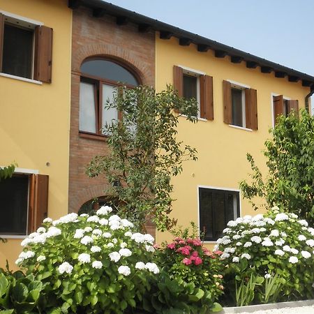 B&B Ai Ciliegi Mogliano Veneto Exterior foto