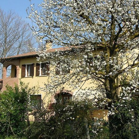 B&B Ai Ciliegi Mogliano Veneto Exterior foto